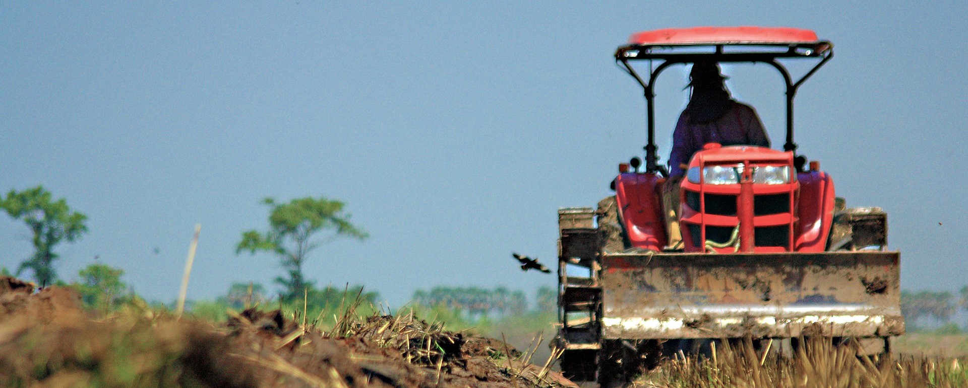 Bailey Bark Materials