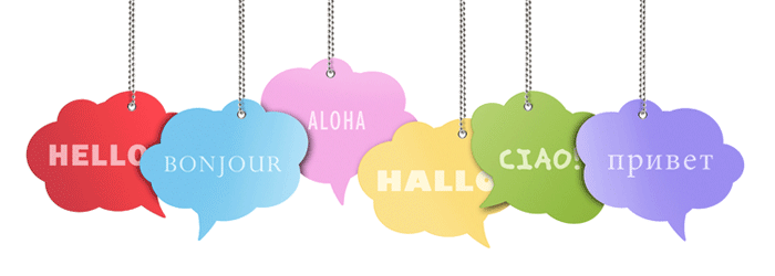 Carillon ERP multilingual and multicurrency functionality